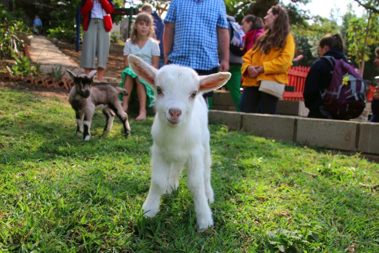 Chane Cheese Farm & Lodge Mtubatuba Zewnętrze zdjęcie